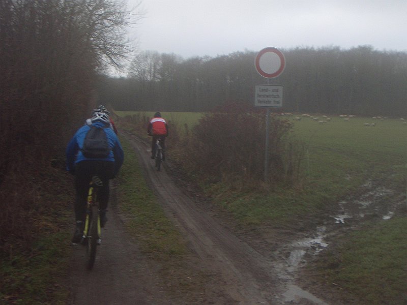 Waldtour 066